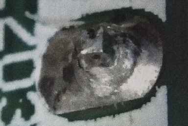 PCBA失效焊点特征.png